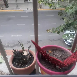Renova Tu Energia En Mendoza